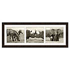 Alternate image 0 for Safari Triptych 42-Inch x 16-Inch Framed Wall Art in Sepia Tone
