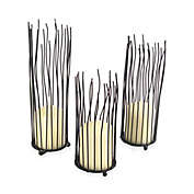 Danya B&trade; Willow Iron Candle Holder (Set of 3)