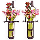 Alternate image 1 for Danya B.&trade; Wall-Mounted Hanging Glass Cylinder Vases (Set of 2)