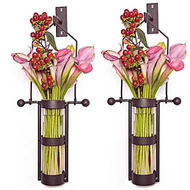 Danya B.&trade; Wall-Mounted Hanging Glass Cylinder Vases (Set of 2). View a larger version of this product image.