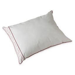 National Allergy Germ-Fighter Side Sleeper Pillow