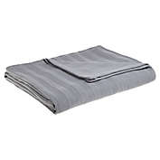 Nestwell&trade; Cozy Micro Cotton&reg; Twin Blanket in Light Grey