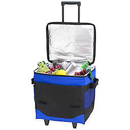 Picnic at Ascot 60-Can Collapsible Rolling Cooler