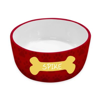 red ceramic dog bowl