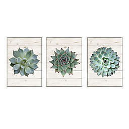 Succulents on Wood 8-Inch x 10-Inch Canvas Wall Art (Set of 3)