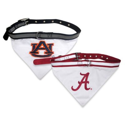 dog collar with bandana attached