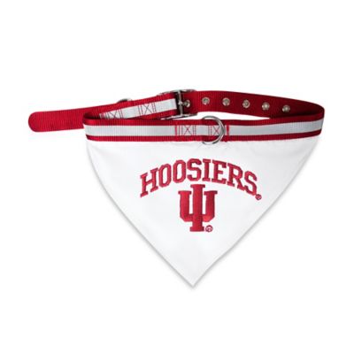 iu dog bandana