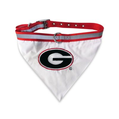 dog collar with bandana attached