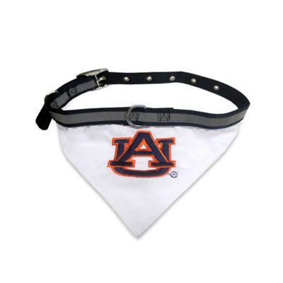 dog collar with bandana attached