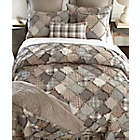 Alternate image 1 for Donna Sharp Smoky Mountain Full/Queen Quilt in Beige