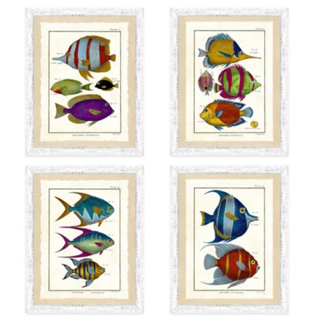 School of Fish Framed Wall Art Collection | Bed Bath & Beyond