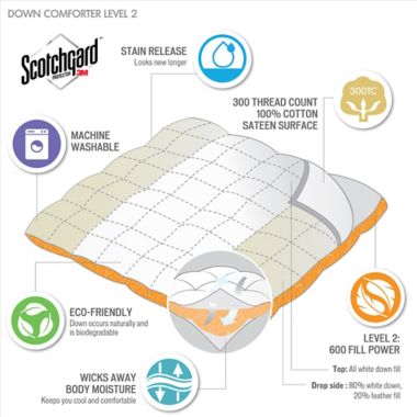 Sleep Philosophy True North 3M Level 2 Warmth King Down Comforter in White. View a larger version of this product image.