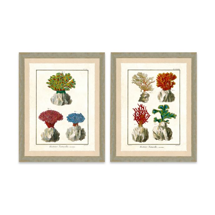 Framed Giclée Sea Coral Print Wall Art Collection | Bed ...