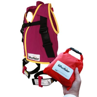 buy buy baby chicco myfit