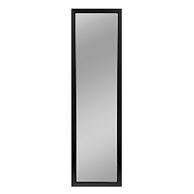 NeuType 55-Inch x 16-Inch Full-Length Hanging Door Mirror. View a larger version of this product image.