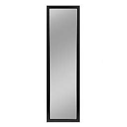 NeuType 55-Inch x 16-Inch Full-Length Hanging Door Mirror in Black