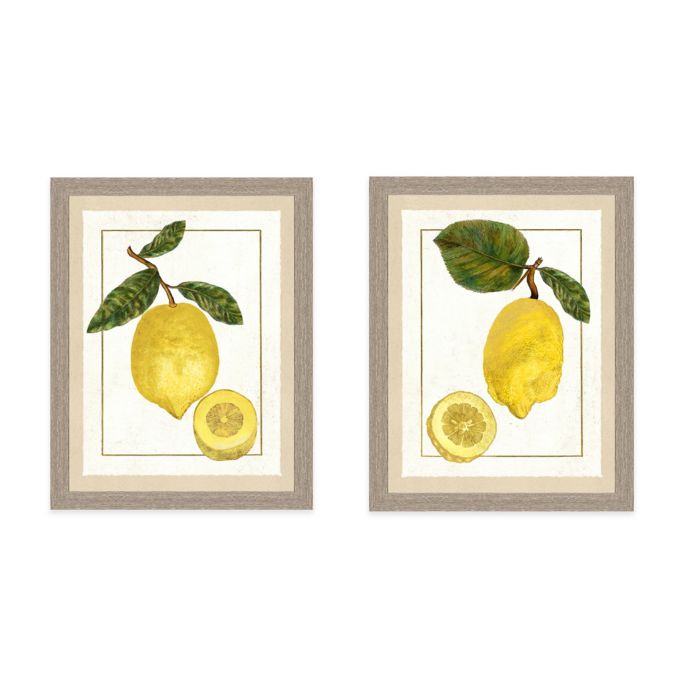 Framed Giclée Lemon Grouping Wall Art Collection | Bed Bath & Beyond