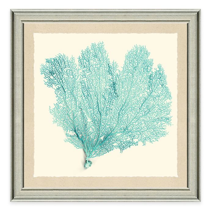 Framed Giclée Teal Sea Fan Print I Wall Art Bed Bath & Beyond
