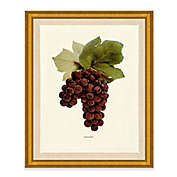 K&K Interiors 53819A 40 Inch Snowy Grapevine Stem with Bird Nest and Pinecones