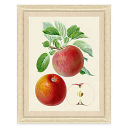 Apples 18-Inch x 22-Inch Framed Art Print