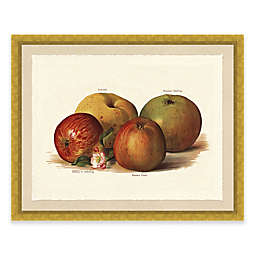 Rustic Apple 22-Inch x 18-Inch Framed Art Print
