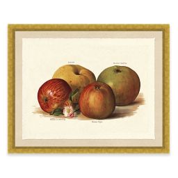 Apple Kitchen Decor Bed Bath Beyond