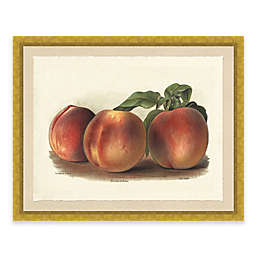 Rustic Peach 22-Inch x 18-Inch Framed Art Print