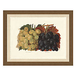 Rustic Grape 22-Inch x 18-Inch Framed Art Print