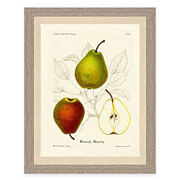Pear Sketch 18-Inch x 22-Inch Framed Art Print