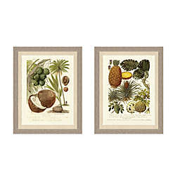 Palm and Fruit Tree Framed Art Print