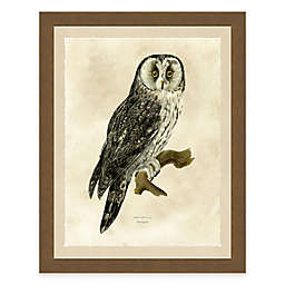 Brown Owl 18-Inch x 22-Inch Framed Art Print