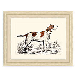Hunting Dog III 22-Inch x 18-Inch Framed Art Print