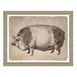 Farm Pig Print II 22-Inch x 18-Inch Framed Wall Art