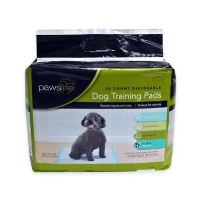 Pawslife&reg; Dog Training Pads