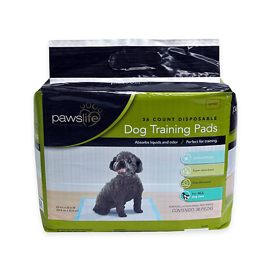 Alternate image 1 for Pawslife® Dog Training Pads