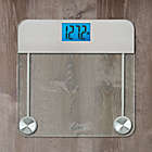 Alternate image 2 for HoMedics&reg; Stainless Steel/Glass Digital Bathroom Scale