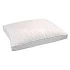 Alternate image 0 for Duck Feather and Down Firm Support Side/Back Sleeper Queen Bed Pillow
