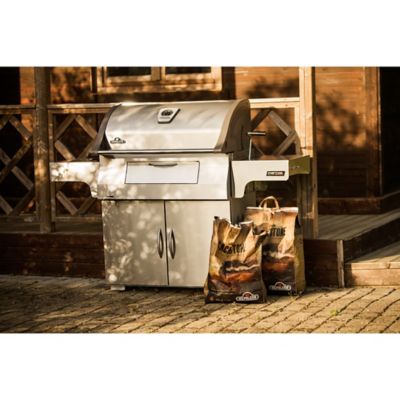 Napoleon Pro605CSS Charcoal Professional Grill