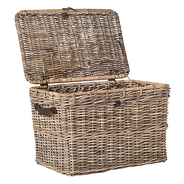 Safavieh Amancio Wicker Trunk. View a larger version of this product image.