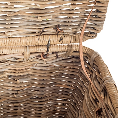 Safavieh Amancio Wicker Trunk. View a larger version of this product image.