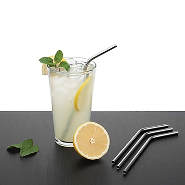 Stainless Steel Drinking Straws with Cleaning Brush (Set of 4). View a larger version of this product image.