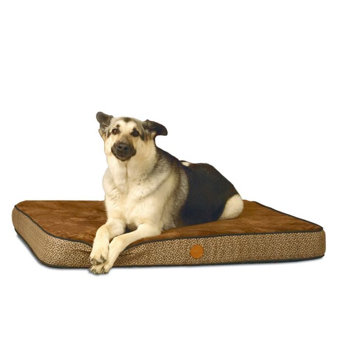 heart to tail pillow top orthopedic pet bed