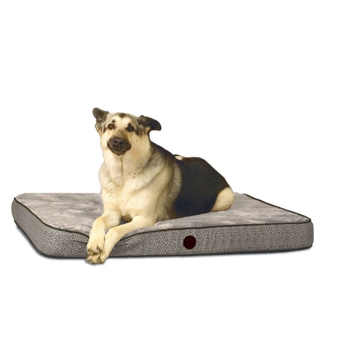 Superior Orthopedic Pet Bed Bed Bath & Beyond