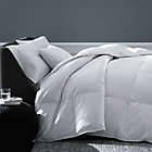Alternate image 0 for The Seasons Collection&reg; Cotton Year Round Warmth White Goose Down Comforter