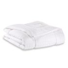 Alternate image 0 for The Seasons Collection&reg; Year-Round Warmth Down Alternative Comforter