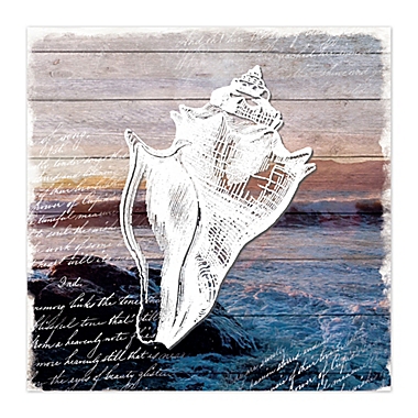 Conch Shell Canvas Wall Art. View a larger version of this product image.