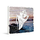 Alternate image 1 for Conch Shell Canvas Wall Art