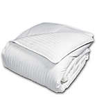 Alternate image 0 for The Seasons Collection&reg; Cotton Light Warmth Down Twin Comforter with Damask Stripe