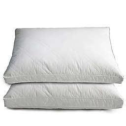 Quilted Goose and Feather Down Standard Pillow in White (Set of 2)