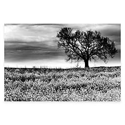 Tree in a Field Tennessee Canvas Wall Art